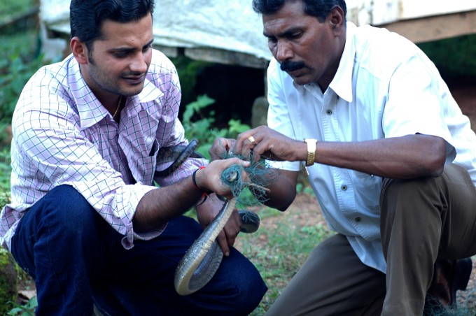 Snake Rescue 